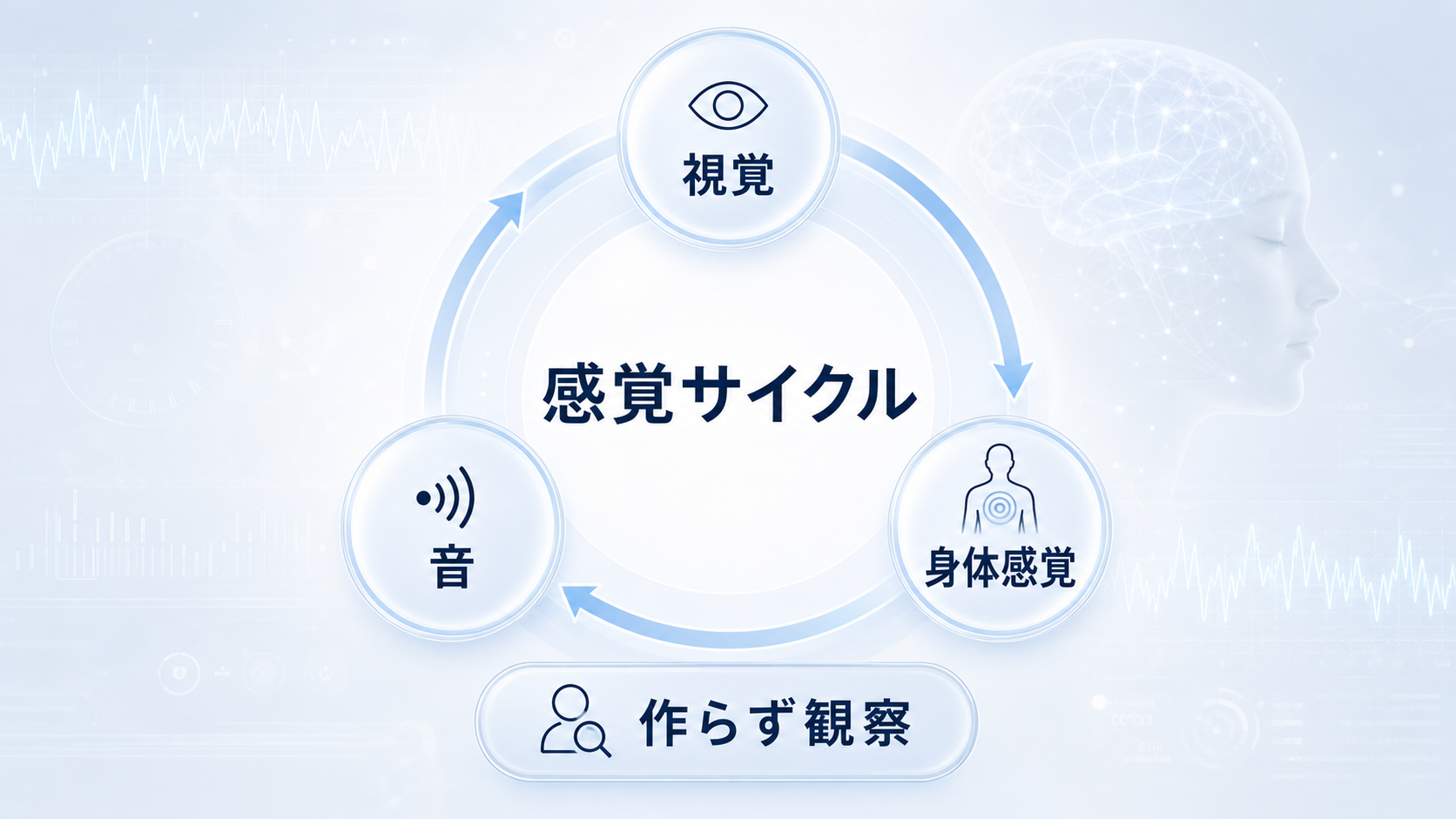 視覚、音、身体感覚を巡回し、作らず観察するSSILDの感覚サイクル図解